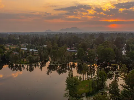 ¿Por que Google le brinda homenaje al Lago de Xochimilco HOY, 20 de mayo?