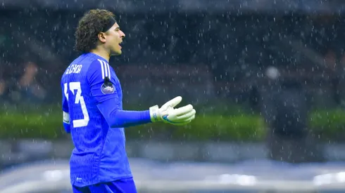 ¿Fin del ciclo de Ochoa?