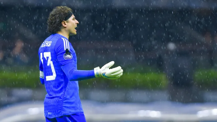 ¿Fin del ciclo de Ochoa?