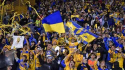 Los Felinos quieren romper el mercado con un refuerzo estrella.