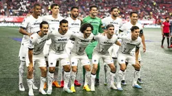 El plantel de los felinos, de los más valorados.