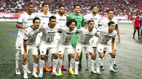 El plantel de los felinos, de los más valorados.