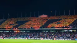 El Estadio Olímpico Universitario de los Pumas de la UNAM.