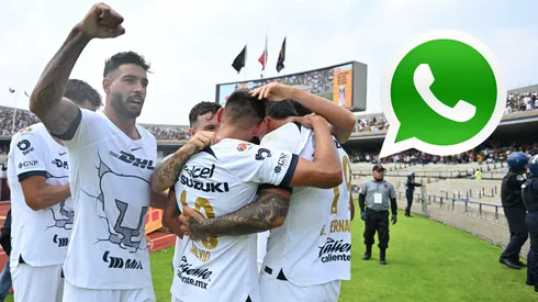 Dale Azul y Oro ya tiene canal de WhatsApp