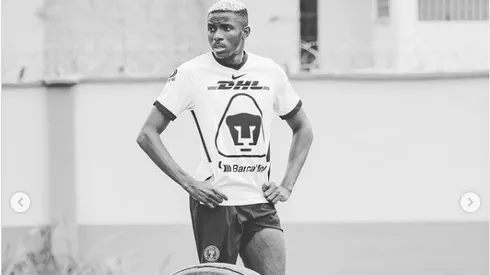 El guiño del nigeriano a los felinos.