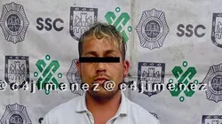 Últimas novedades en los felinos.