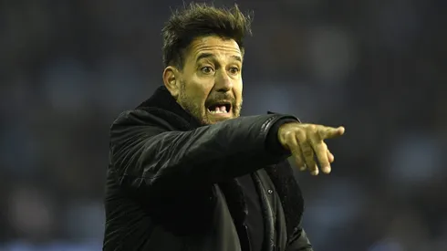 Los Felinos buscan más fichajes.