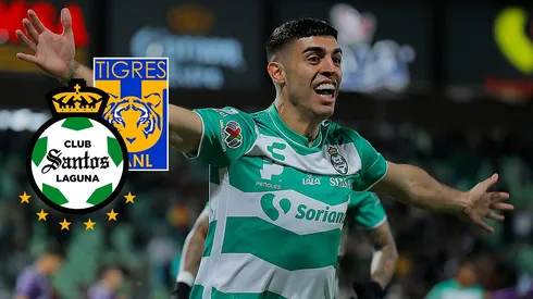 Brunetta, nueva figura de los felinos.