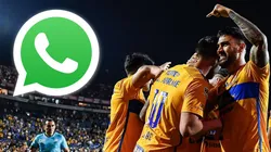 ¡Sigue nuestro canal de Tigres UANL en WhatsApp y recibe las noticias más importantes de los Felinos!