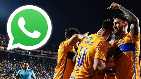 ¡Sigue nuestro canal de Tigres UANL en WhatsApp y recibe las noticias más importantes de los Felinos!