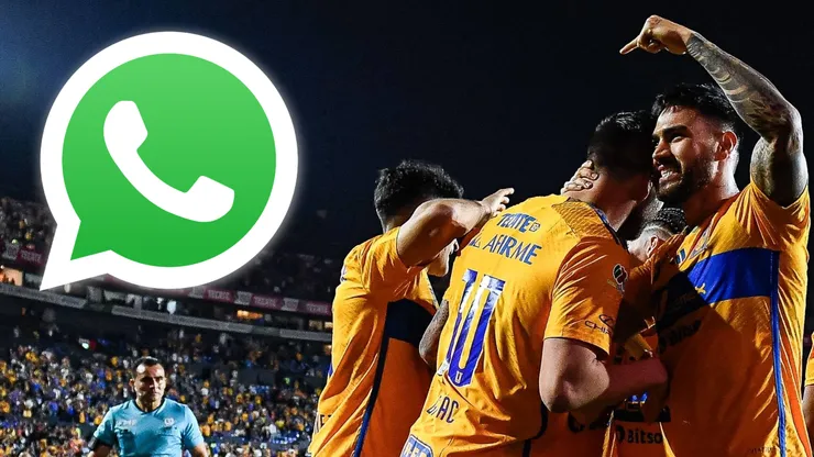 ¡Sigue nuestro canal de Tigres UANL en WhatsApp y recibe las noticias más importantes de los Felinos!