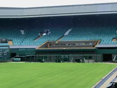 ¿Qué es una apuesta sin empate en deportes?