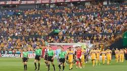 Los Felinos tendrán una nueva casa.