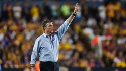 Siboldi ganó dos títulos desde su llegada a Tigres.