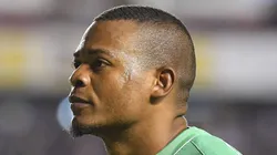 Las alternativas que considera Harold Preciado