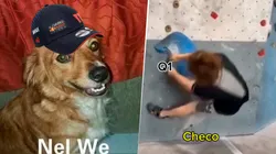 Mejores memes y reacciones tras el choque de Checo Pérez