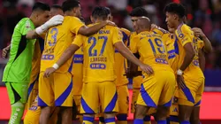 Los Felinos solamente han anunciado un refuerzo en este mercado de fichajes.