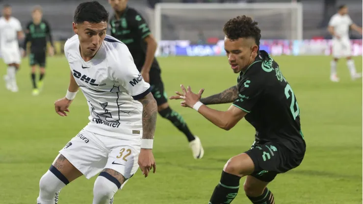 Guerreros y Felinos se enfrentarán por la segunda jornada del Apertura.