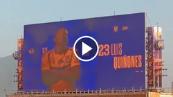 El colombiano no recibió la aprobación del público felino.