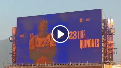 El colombiano no recibió la aprobación del público felino.