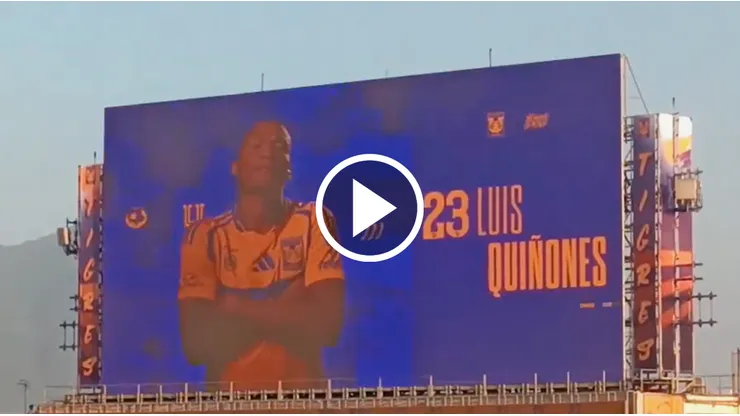 El colombiano no recibió la aprobación del público felino.