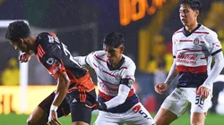 Felinos y Albirrojos se enfrentarán este sábado desde las 19:00 horas.