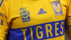 ¿Quién se hará cargo de los Tigres?