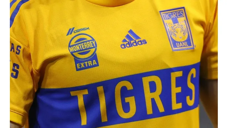¿Quién se hará cargo de los Tigres?