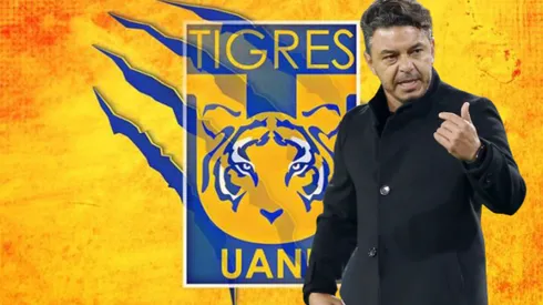 ¿Marcelo Gallardo dirigirá a Tigres?
