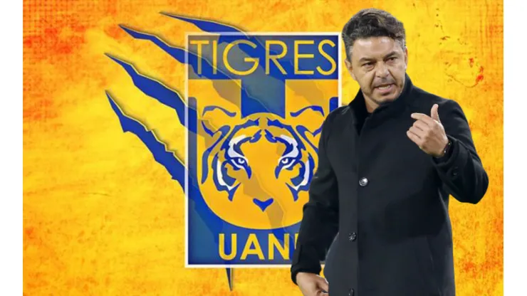 ¿Marcelo Gallardo dirigirá a Tigres?