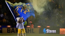 Tigres UANL v Pumas UNAM - Torneo Clausura 2020 Liga MX