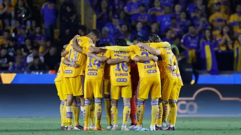 Sufre Tigres: desde Europa planean llevarse a una joya Felina