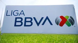 La Liga MX podría tener un nuevo presidente.