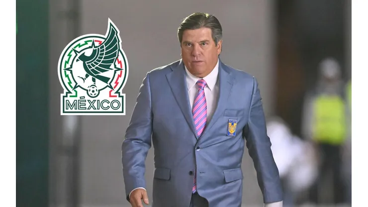 David Medrano reveló lo que todos los anti Miguel Herrera estaban esperando