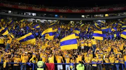 Los aficionados de Tigres podrían tener un nuevo hogar.