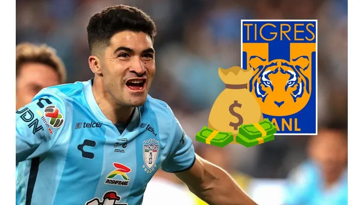 Nicolás Ibáñez se suma a los Tigres.