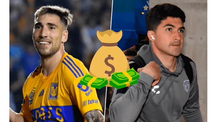 Los Felinos rompieron el mercado.