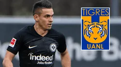 Borré estaría más cerca de Tigres UANL..