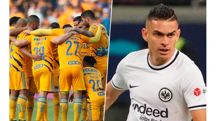 ¿Llega Rafael Borré a los Tigres?