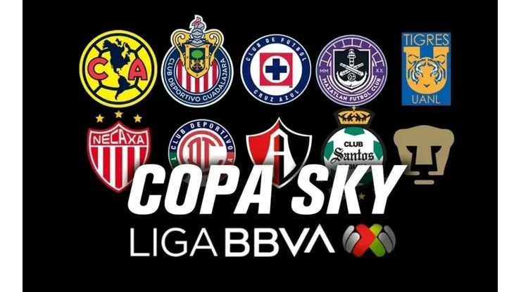 ¿La Copa Sky cuenta como título oficial para el campeón?