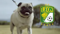 León presentó a su nuevo fichaje.