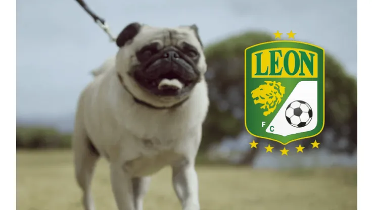 León presentó a su nuevo fichaje.