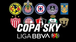 ¿Desde cuándo se juega la Copa SKY?