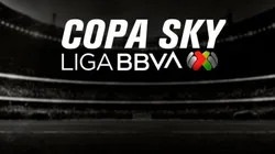 ¿Qué televisoras transmitirán la Copa Sky?