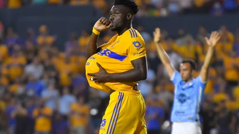 Jordy Caicedo no tiene lugar en Tigres.