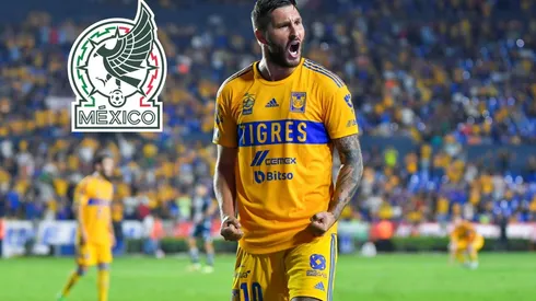 Gignac se refirió al futuro de la Selección Mexicana.
