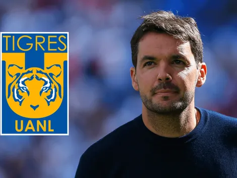 Nicolás Larcamón le da a Tigres UANL la mejor noticia