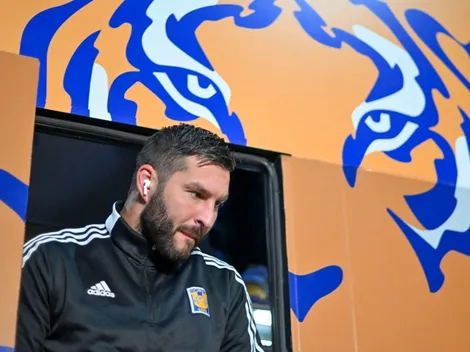 La frase de Piojo Herrera sobre Gignac que pondrá a temblar a la afición de Tigres
