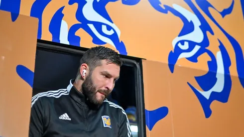 La frase de Piojo Herrera sobre Gignac que pondrá a temblar a la afición de Tigres