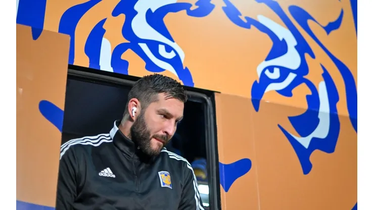 La frase de Piojo Herrera sobre Gignac que pondrá a temblar a la afición de Tigres